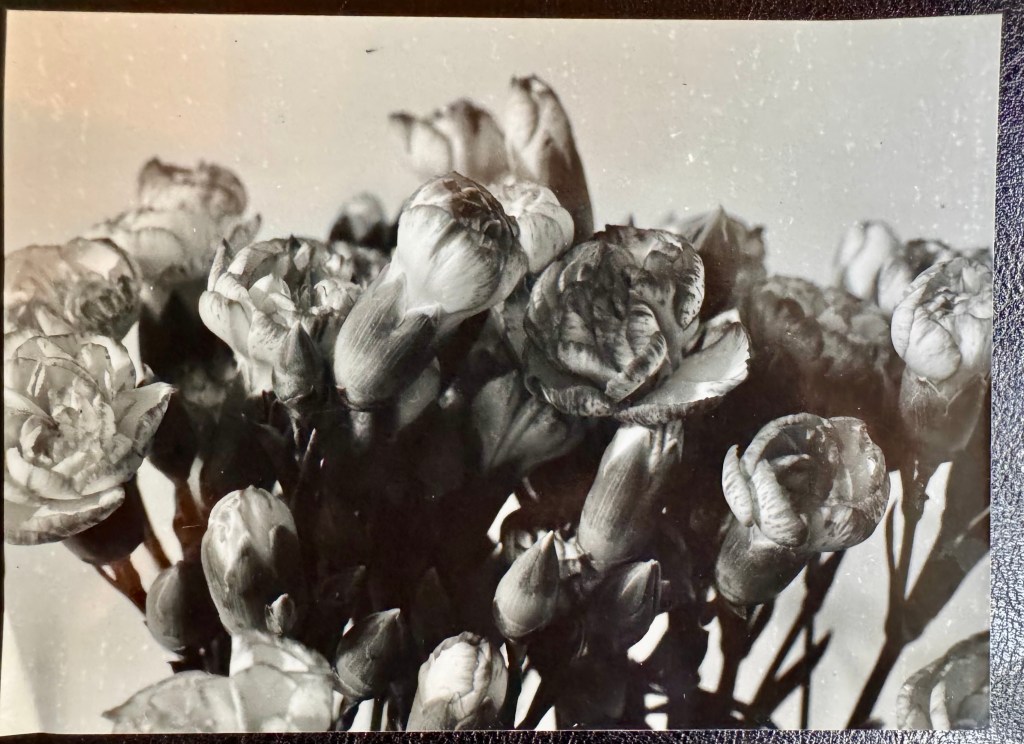 August Postcard Swap is&nbsp;live!